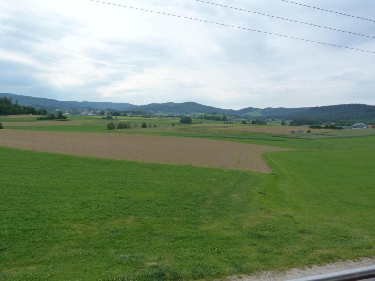 Ferienwohnung Spachtholz 瓦尔德明兴 外观 照片
